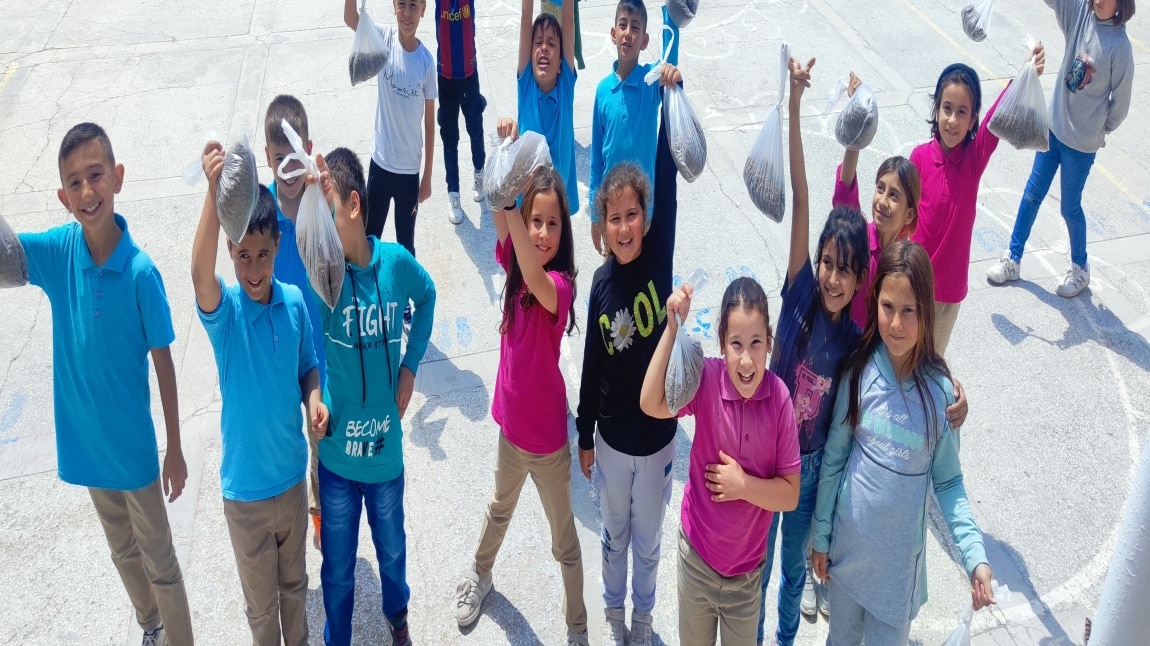 Doğa Gözlem Günlüğü Tutma